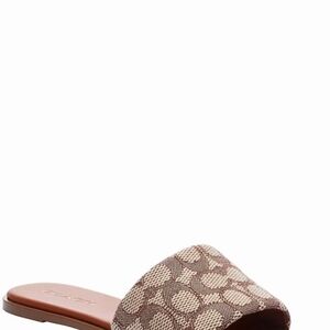 Coach Women's Signature Slide in Brown and Beige